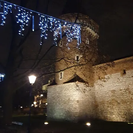 Ap4you Tauron Cracow