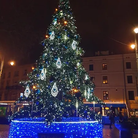 Ap4you Tauron Cracow *