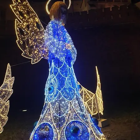 Ap4you Tauron Cracow Krasków