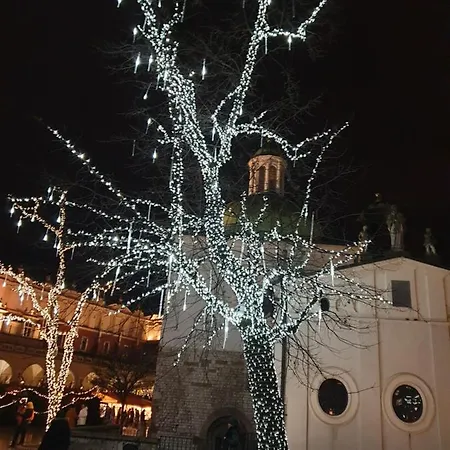 Ap4you Tauron Cracow *