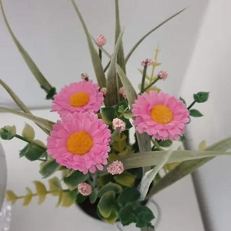 Ap4you Tauron Cracow Διαμέρισμα *