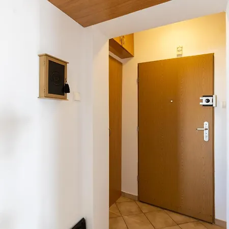 Ap4you Tauron Cracow