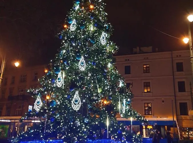 Ap4you Tauron Cracow *