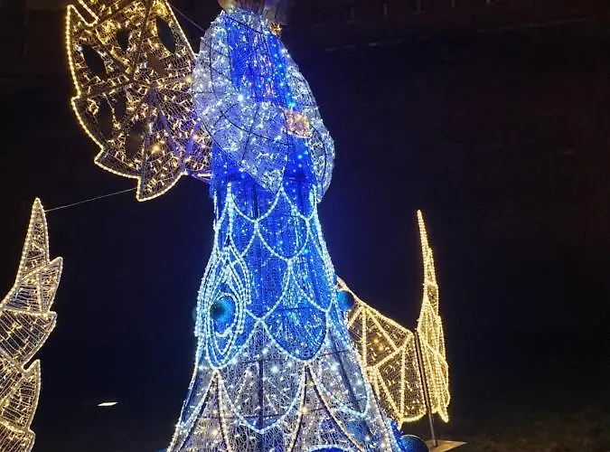 Ap4you Tauron Cracow 克拉科夫