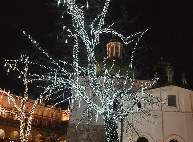 Ap4you Tauron Cracow *