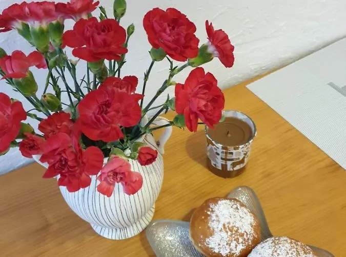 Ap4you Tauron Cracow * Krakow