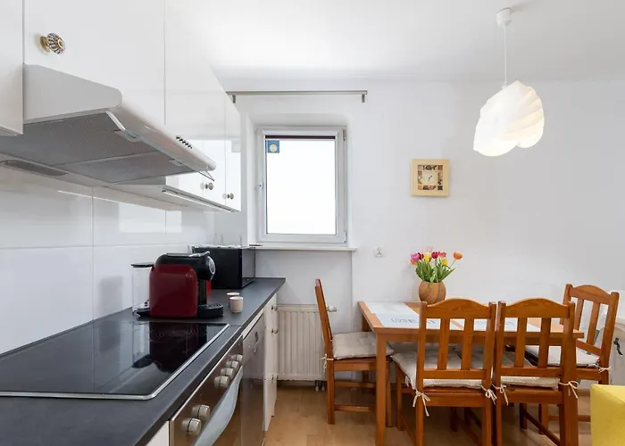 Ap4you Tauron Cracow 克拉科夫