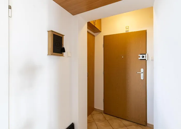 Ap4you Tauron Cracow