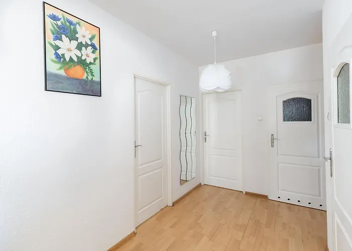 Ap4you Tauron Cracow * Krakow