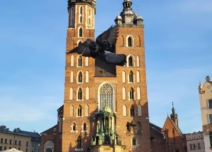 公寓 Ap4you Tauron Cracow *